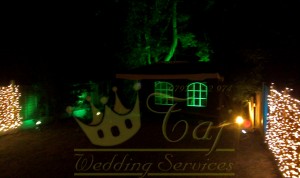party-event-garden-lights         